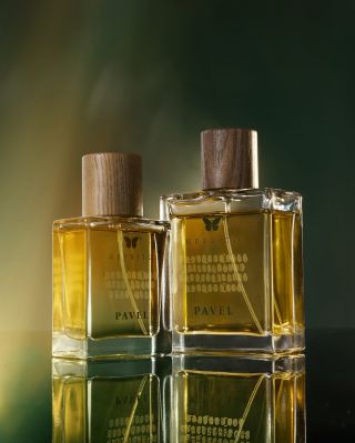 Parfém Pavel – fougerová kompozice s jemným, ale výrazným charakterem, který se stane vaším společníkem pro každý den. Ať...